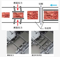 技術(shù)性